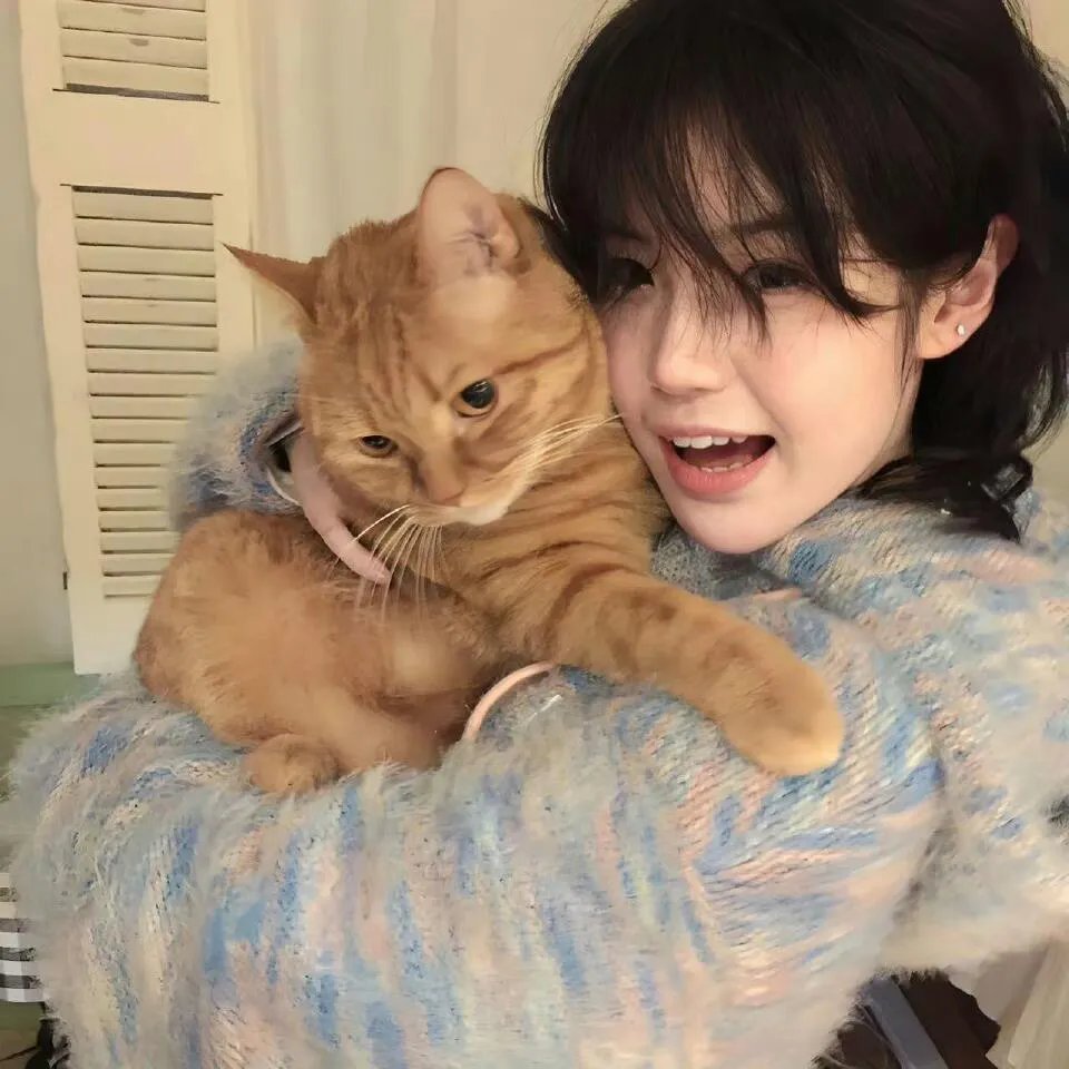 绝命毒师第五季